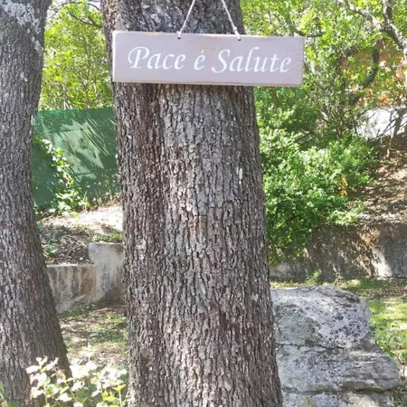 Сasa de vacaciones Le Petit Clos Des Chenes A 2 Pas D'avignon
